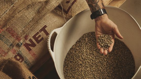 Importation de semences : une déclaration préalable obligatoire !