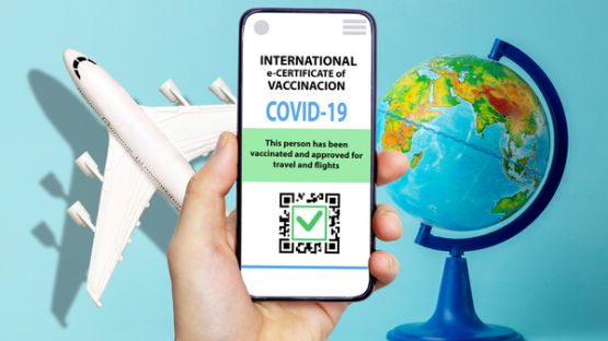 Coronavirus (COVID-19) : « TousAntiCovid Carnet » et protection des données personnelles