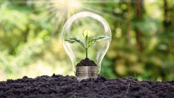 Energies renouvelables : le point sur les nouveautés !