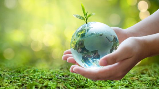 Jeunes agriculteurs : quel accompagnement pour réduire votre impact écologique ?