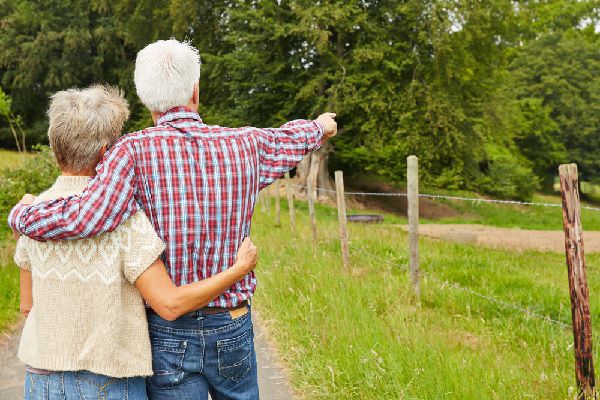 Transmission d’un bail rural : sous conditions !