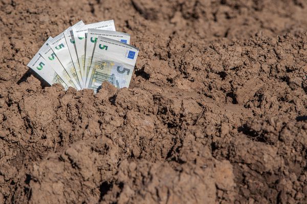 Terres agricoles : quel est le juste prix ?