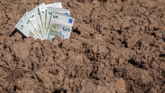 Terres agricoles : quel est le juste prix ?