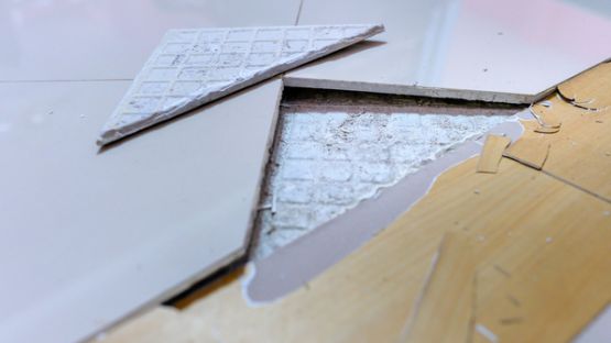 Professionnels du bâtiment : désordres = garantie décennale ?