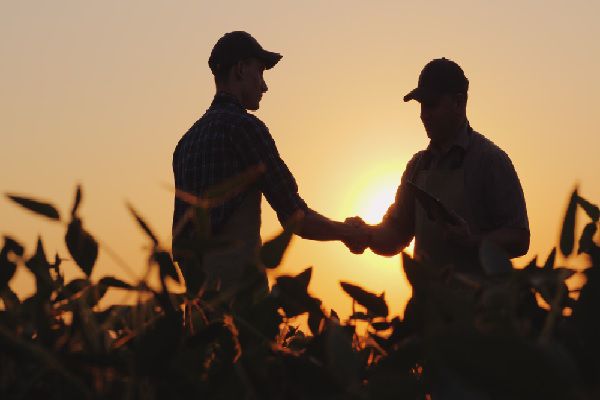 Vente de terres agricoles = droit de préemption de la SAFER ?