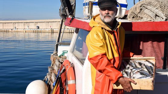 Coronavirus (COVID-19) : sortie de crise et gens de mer