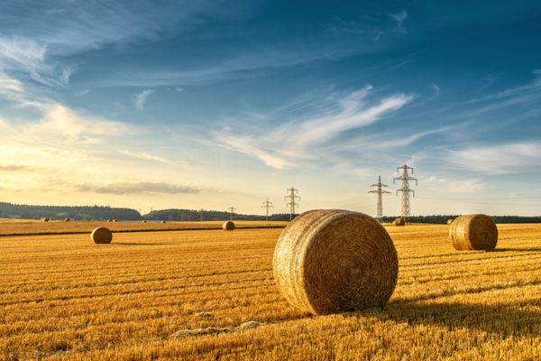 Bail rural et congé pour reprise : depuis quand êtes-vous propriétaire ?