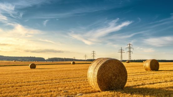 Bail rural et congé pour reprise : depuis quand êtes-vous propriétaire ?