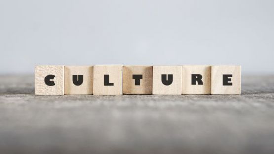 Coronavirus (COVID-19) : le point sur le secteur de la culture et des loisirs au 9 juin 2021