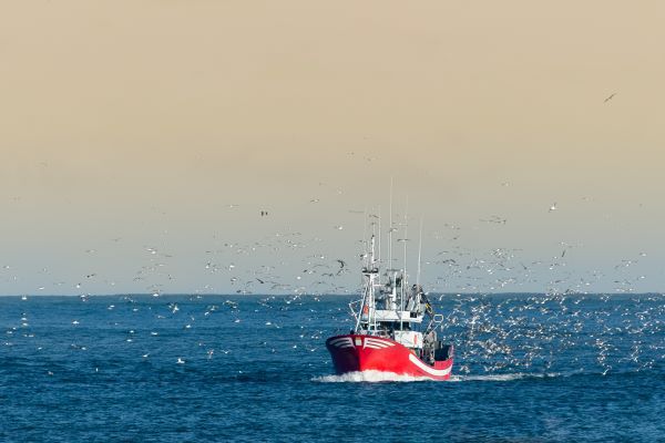 Brexit : des conséquences (financières) pour les pêcheurs et les mareyeurs