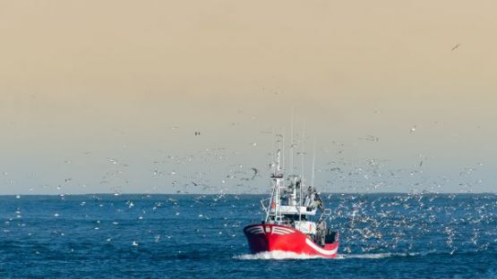 Brexit : des conséquences (financières) pour les pêcheurs et les mareyeurs