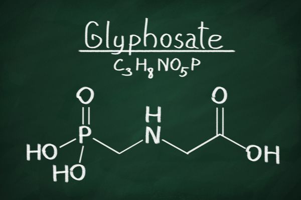 Crédit d’impôt « sortie du glyphosate » : c’est d’accord !