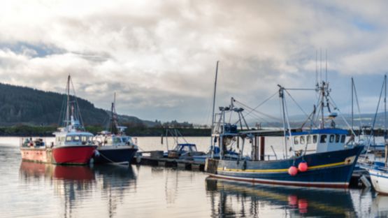 Cotisations sociales, DSN et marins : fin d’une tolérance ?