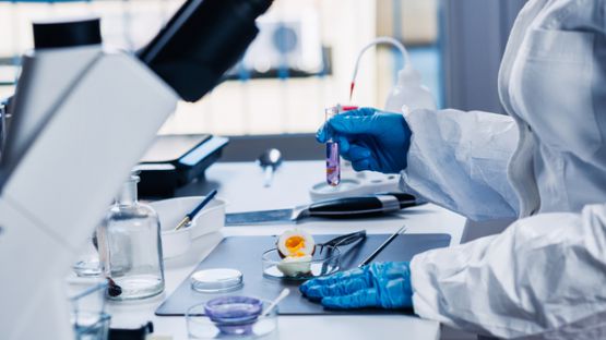 Autocontrôle sanitaire : à qui confier vos analyses ?