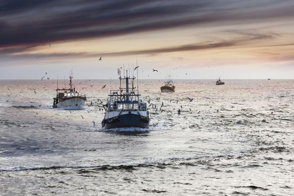 Brexit : du nouveau pour les arrêts temporaires des activités de pêche !