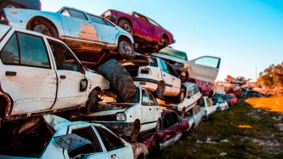 Gardiens de fourrière : une exception pour certaines collectivités d’Outre-mer