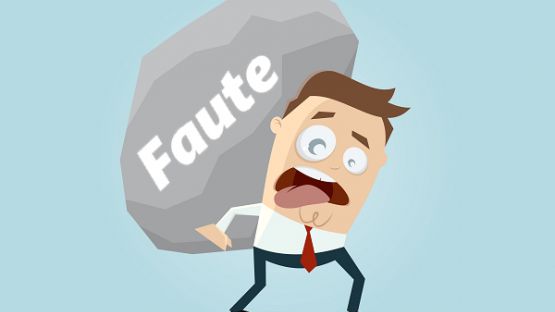 Faute lourde = volonté de nuire systématique ?
