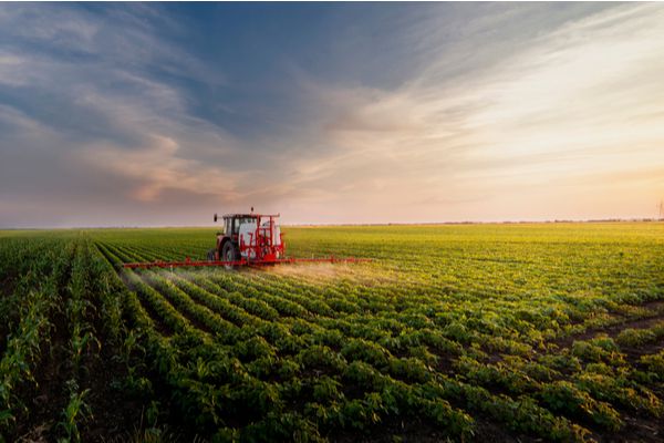 Agriculture : quelles alternatives aux phytosanitaires ?