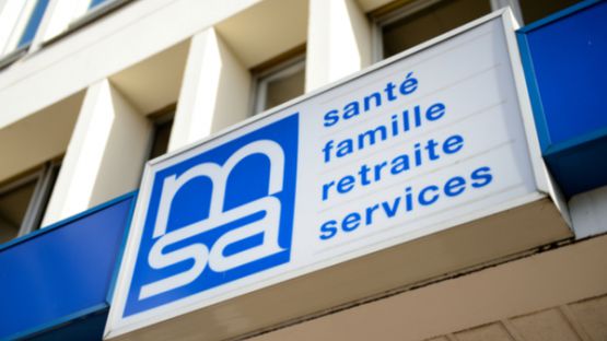 Episode de gel : un geste de la MSA pour les agriculteurs les plus touchés