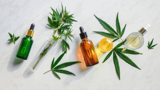 Commercialisation du CBD : (im)possible ?