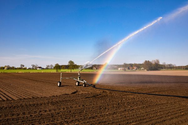 Irrigation et sécheresse : modernisation des règles de prélèvements de l’eau
