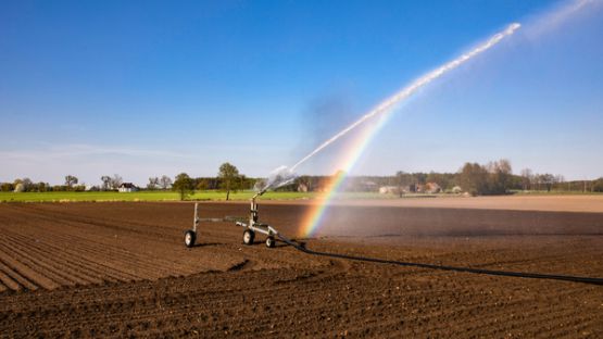 Irrigation et sécheresse : modernisation des règles de prélèvements de l’eau