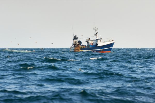 Pêches : des chalutiers contraints de rester à quai ?