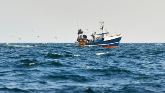 Pêches : des chalutiers contraints de rester à quai ?