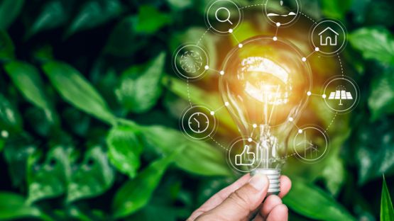 Artisans, commerçants, indépendants : en route vers la transition écologique !