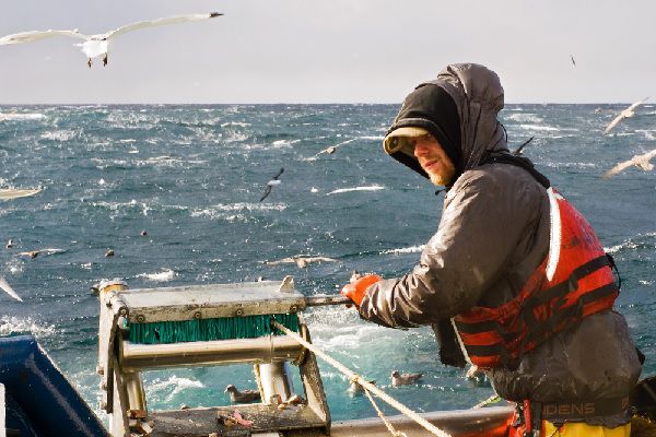 Chalutiers en Méditerranée : moins de pêche = plus d’aides ?