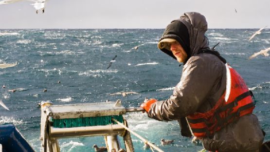 Chalutiers en Méditerranée : moins de pêche = plus d’aides ?