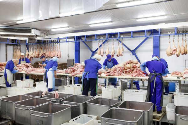 Abattoirs : des contrôles renforcés