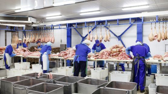 Abattoirs : des contrôles renforcés