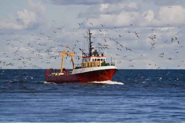 Brexit : les autorisations de pêche délivrées !