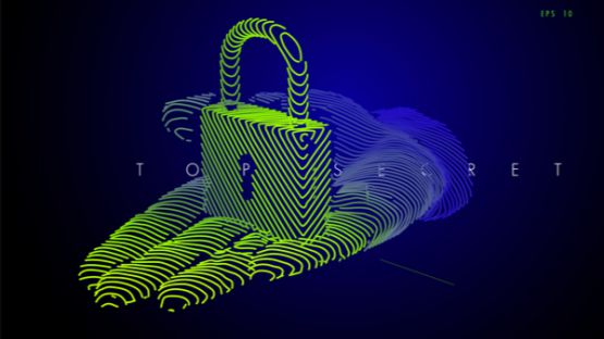 Cybercriminalité : comment s’en prémunir ?