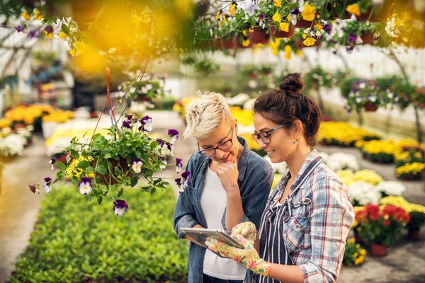 Vente de plantes et végétaux : une nouvelle obligation d’information !