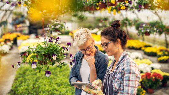 Vente de plantes et végétaux : une nouvelle obligation d’information !