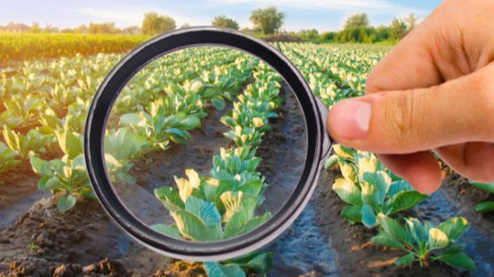 Pratiques commerciales déloyales : du nouveau pour le secteur agro-alimentaire