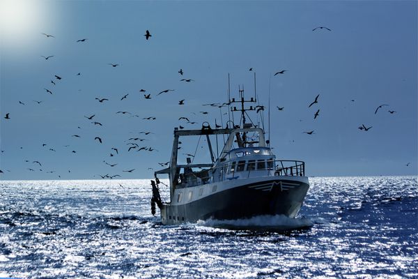 Des navires de pêche surveillés !