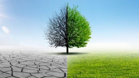 Sécheresse et restrictions d’eau : une plateforme web pour s’informer !