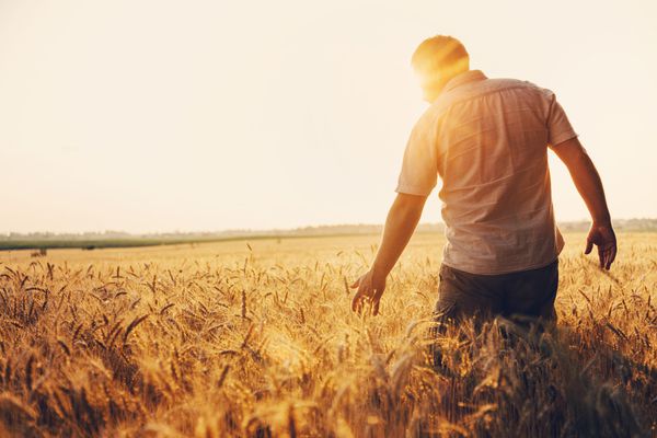 Agriculteurs : une utilisation exceptionnelle de la déduction pour aléas (DPA)