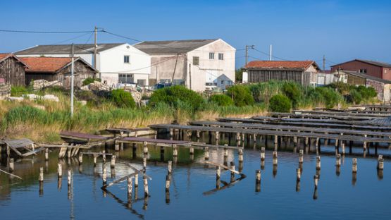 Autorisations d’exploitation de cultures marines : il faut payer ses cotisations !