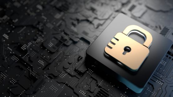 Cyberattaques : un nouveau dispositif de prévention pour les petites entreprises !