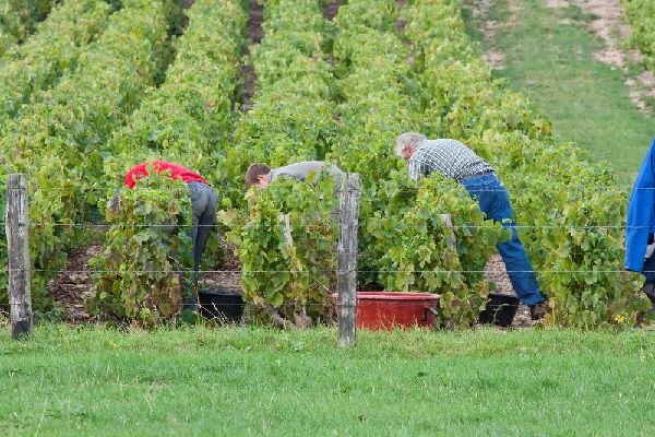 Travail saisonnier : petit guide à l’embauche de travailleurs étrangers