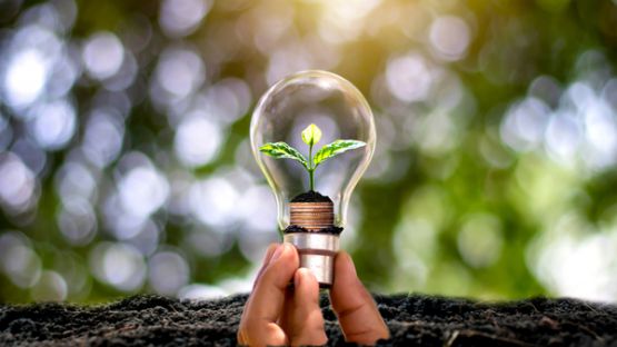 Secteur de l’immobilier logistique : vers une meilleure performance environnementale !