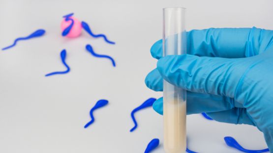 Loi bioéthique : ce qu’il faut savoir sur la PMA