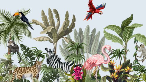 Coronavirus (COVID-19) : une nouvelle aide pour les centres de soins de la faune sauvage