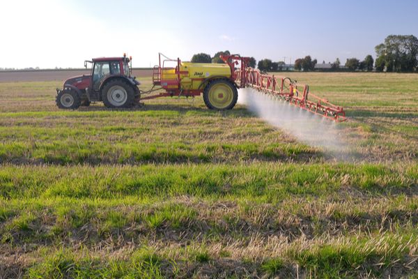 Pesticides près des zones d’habitation : une règlementation à revoir ?