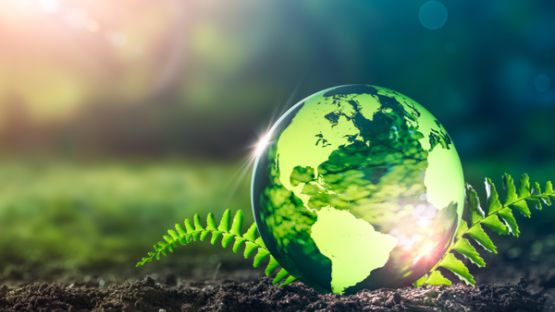 Loi Climat : un point sur la responsabilité élargie du producteur