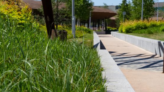 Loi Climat : du nouveau pour les marchés publics ?